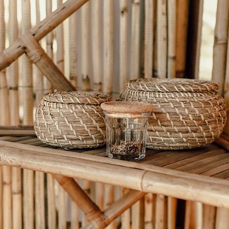 The Lemon Lodge Aljezur Bilik gambar